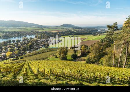 View from Hohenklingen Castle to vineyards, the town of Stein am Rhein and the Rhine River, Canton Schaffhausen, Switzerland Stock Photo