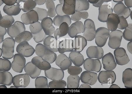 Plastic Pellets Transparent Polyethylene Granules Plastic Raw Material High  Density Polyethylene Peld Stock Photo - Download Image Now - iStock