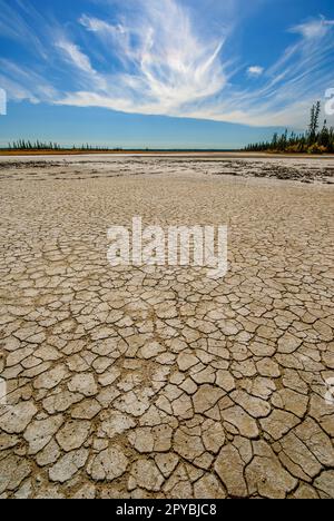 Dried, cracked mud at the edge of the Salt Plains in Wood Buffalo National Park Stock Photo