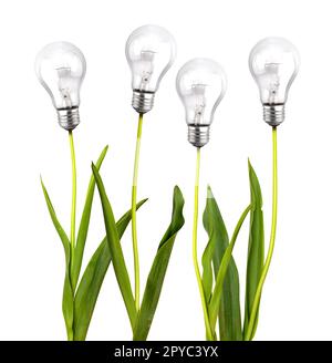 Flowers with light bulb as sustainability concept Stock Photo