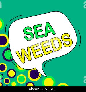 Sign displaying Sea Weeds. Word Written on Large algae growing in the sea or ocean Marine plants flora Stock Photo
