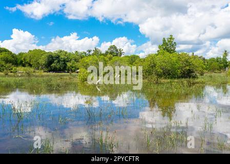 Large scenic coastal lagoon at Rekawa close to the small town Tangalle, Sri Lanka Stock Photo