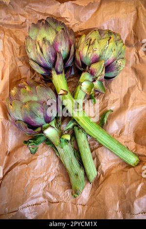 Three globe artichokes (Cynara cardunculus) Stock Photo