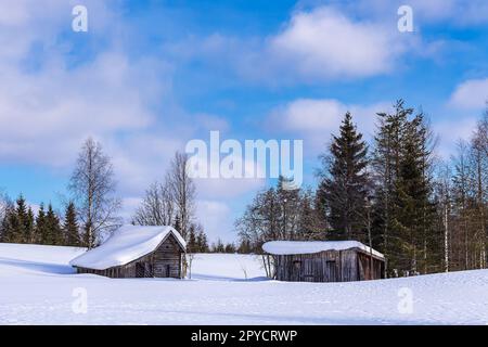 Landscape with snow in wintertime in Kuusamo, Finland Stock Photo