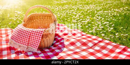 Picnic duvet with empty bascket on the meadow in nature. Stock Photo