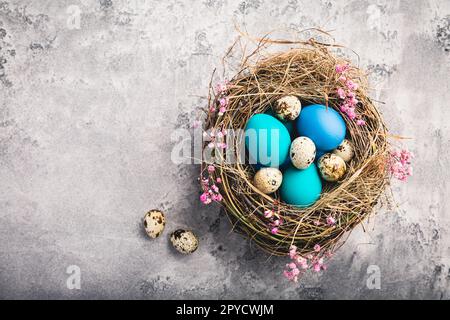 Happy Easter - nest with Easter eggs on grey background with copy space Stock Photo
