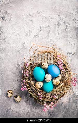 Happy Easter - nest with Easter eggs on grey background with copy space Stock Photo