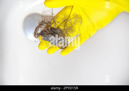 Shower drain is clogged with hair, Hair pile loss in a bathroom after wash hair in shower, cleaning bathroom and removing hair top view Stock Photo