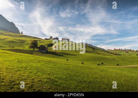 Hilly landscape with farm houses, green meadows and pastures in the Toggenburg Valley, Nesslau, Canton St. Gallen, Switzerland Stock Photo