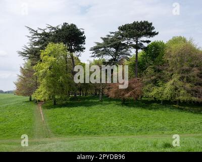 The Phoenix Park in Dublin city, Ireland. Stock Photo
