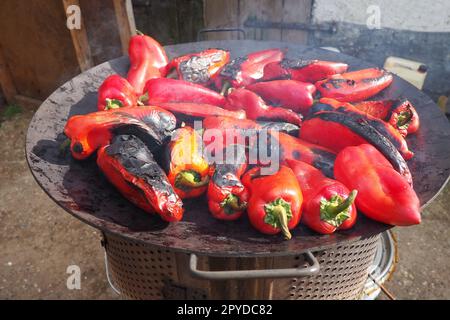 Roasting red peppers for a smoky flavor and quick peeling. Thermal processing of the pepper crop on a metal circle. Brazier container used to burn charcoal fuel for cooking, heating or cultural ritual Stock Photo