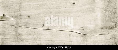 Old white wood texture background Stock Photo