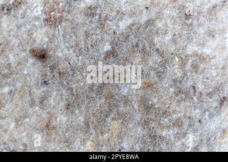 A close up shot of natural insulation material used in the building and construction trade, made up of sheep's wool and hemp. Stock Photo
