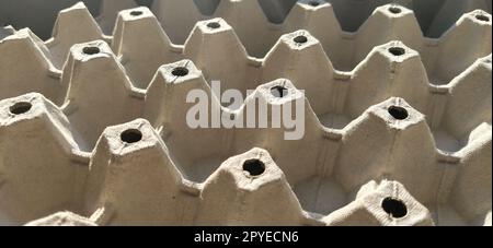Empty carton for chicken eggs. A container for transporting and carrying fragile bird eggs. Container for packaging food. Lots of cells. The concept of demography problems. Essential Protein Foods Stock Photo