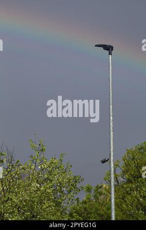 Rainbow  on a grey sky after a storm with tree tops and street lamp in spring Stock Photo