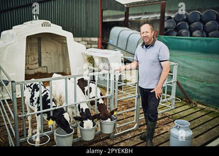 Only the best for my calves. Full length portrait of a male farmer feeding the calves on his dairy farm. Stock Photo