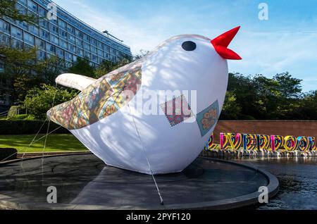 Soloveiko Songbird the national bird of Ukraine for Eurovision 2023 in Liverpool Stock Photo