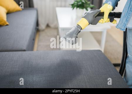 Man dry cleaner's employee hand in protective rubber glove cleaning sofa with professionally extraction method. Early spring regular cleanup. Commercial cleaning company concept Stock Photo