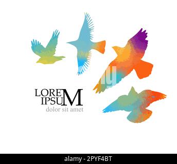 Abstract colored flying birds. Mixed media. Vector illustration Stock Vector