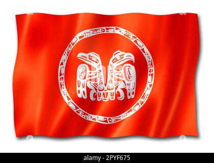 Haida people ethnic flag, Canada. 3D illustration Stock Photo