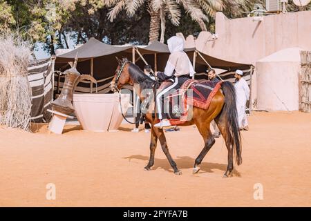 15 January 2023, Abu Dhabi, UAE: young girl riding confidently her majestic Arabian horse, both of them bathed in the warm glow of the setting sun. Stock Photo