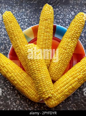 Boiled juicy corn on a plate Stock Photo