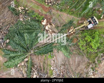 Aerial top down view excavator used in land clearing of oil palm Stock Photo