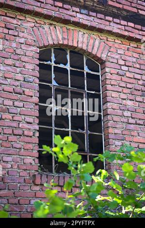 Old window with broken panes Stock Photo