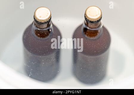 beer bottles in water in a container Stock Photo