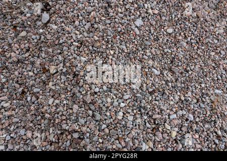 Small sea pebbles on the shore Stock Photo