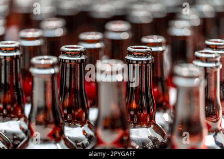 empty glass beer bottles in brewery Stock Photo