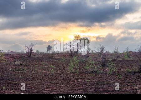 A breathtaking view of the Kenyan savannah at sunset with stormy clouds in the sky creating a dramatic contrast of colors. The silhouettes of trees an Stock Photo