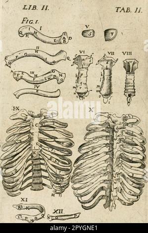 'Anatomiae amphitheatrvm effigie triplici, more et conditione varia, designatvm' (1623) Stock Photo