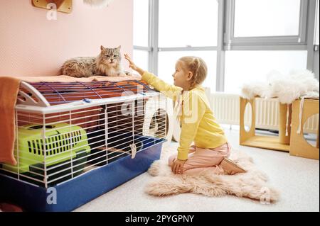 Happy smiling little girl child playing with cat indoors Stock Photo