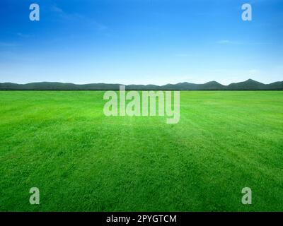Background image of lush grass field under blue sky Stock Photo - Alamy