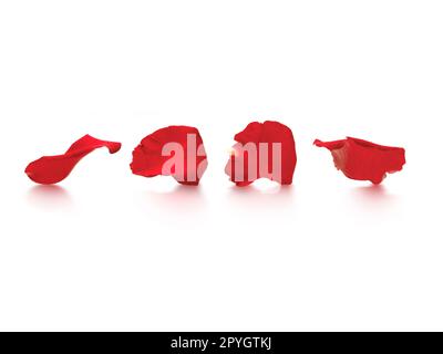 Red rose petals isolated on a white background Stock Photo
