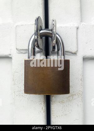 Golden padlock on old white wooden door Stock Photo