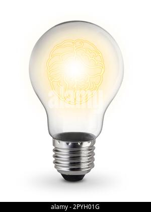 Human brain glowing inside of light bulb on White Background, Inspiration concept Stock Photo