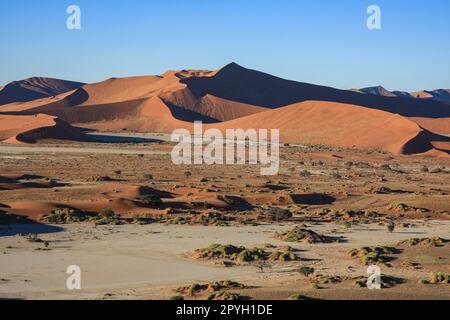 Sand Dunes of the Sossusvlei in Namibia Stock Photo