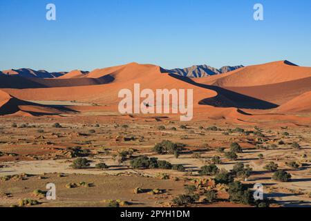 Sand Dunes of the Sossusvlei in Namibia Stock Photo