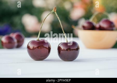 Two red ripe cherries berries standing on wooden table on background of flower bushes next to bowl of sweet cherries Stock Photo