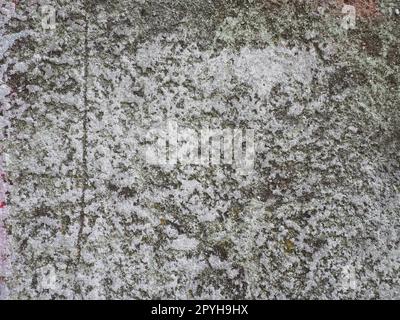 Concrete texture. Concrete wall with white paint. A casually painted wall. Translucent gray plaster through the applied oil paint. Grunge background with blank space. Copy space. Popcorn - plaster Stock Photo