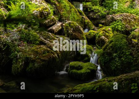 small alpine  creek in austria near Hintersee Stock Photo