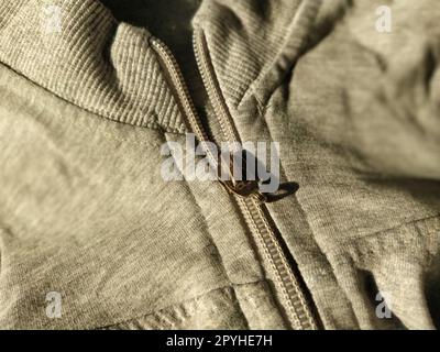 metal lock on gray long sleeve fabric. Tailoring Stock Photo