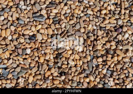 The area is sprinkled with small pebbles in yellow-brown tones for the background. There is a small piece of leaf Taken in daylight, natural light Stock Photo