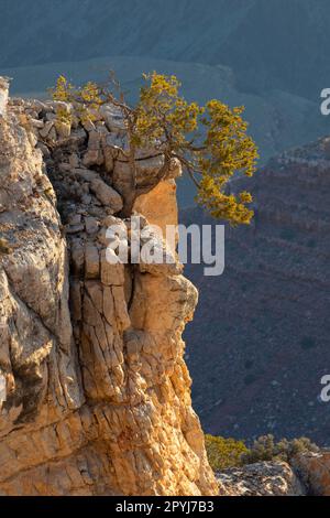 South Rim view near Yaki Point, Grand Canyon National Park, Arizona Stock Photo