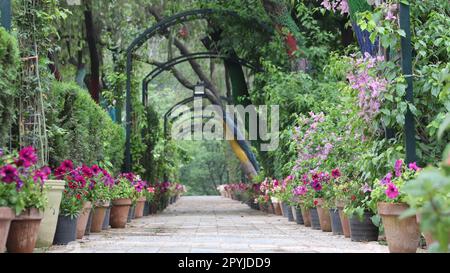 landscape of flowers garden in a park Stock Photo