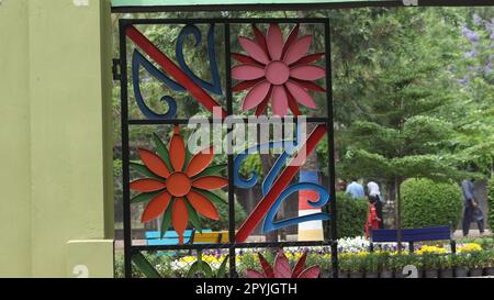 flowers gate on a garden Stock Photo