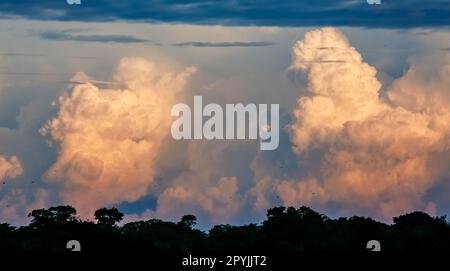 Sky with towering clouds in the evening light Stock Photo