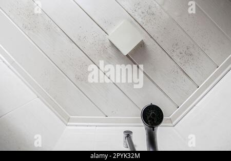 Start of mold build-up on bathroom ceiling, still with simple cleaning solution. Ceiling molding in interior fungal mold by the shower. needs cleaning white wooden background Stock Photo